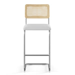 Hayward Cane Back Fabric Bar Height Stool - Set of 2