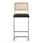 Hayward Cane Back Vegan Leather Bar Height Stool - Set of 2