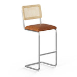 Hayward Cane Back Vegan Leather Bar Height Stool - Set of 2