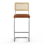 Hayward Cane Back Vegan Leather Bar Height Stool - Set of 2