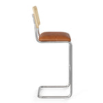 Hayward Cane Back Vegan Leather Bar Height Stool - Set of 2