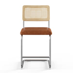 Hayward Cane Back Vegan Leather Counter Height Stool - Set of 2