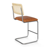 Hayward Cane Back Vegan Leather Counter Height Stool - Set of 2