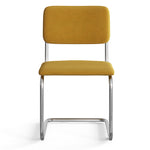 Hayward Velvet Side Chair - Set Of 2