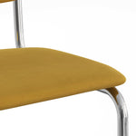 Hayward Velvet Side Chair - Set Of 2