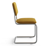 Hayward Velvet Side Chair - Set Of 2