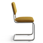 Hayward Velvet Side Chair - Set Of 2